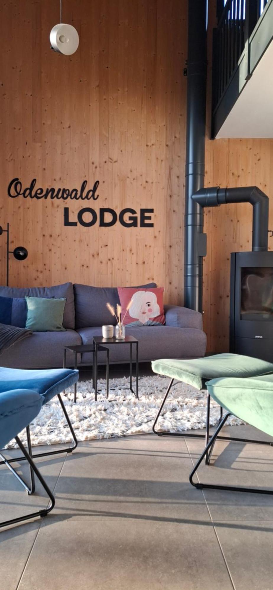 Odenwald-Lodge Mit Infrarotsauna Und E-Ladestation Im Naturpark Odenwald "Haus Himmelblau" Reichelsheim Exterior foto